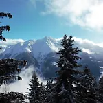 Baergblueemli Eg Sued By Interhome * Bettmeralp