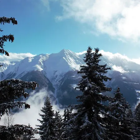 Baergblueemli Eg Sued By Interhome * Bettmeralp