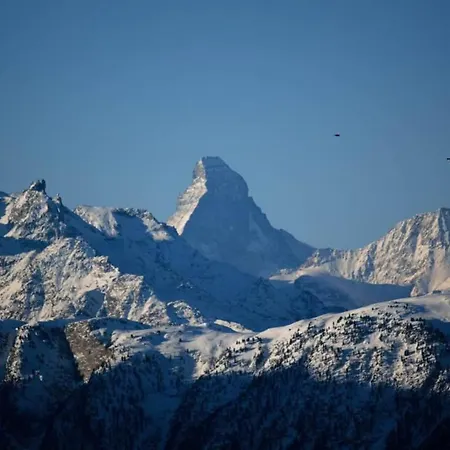 Baergblueemli Eg Sued By Interhome Bettmeralp