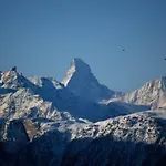 Baergblueemli Eg Sued By Interhome Bettmeralp