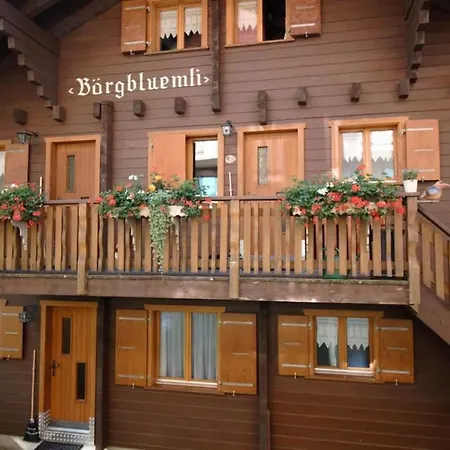Lägenhet Baergblueemli Eg Sued By Interhome *